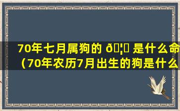 70年七月属狗的 🦈 是什么命（70年农历7月出生的狗是什么命）